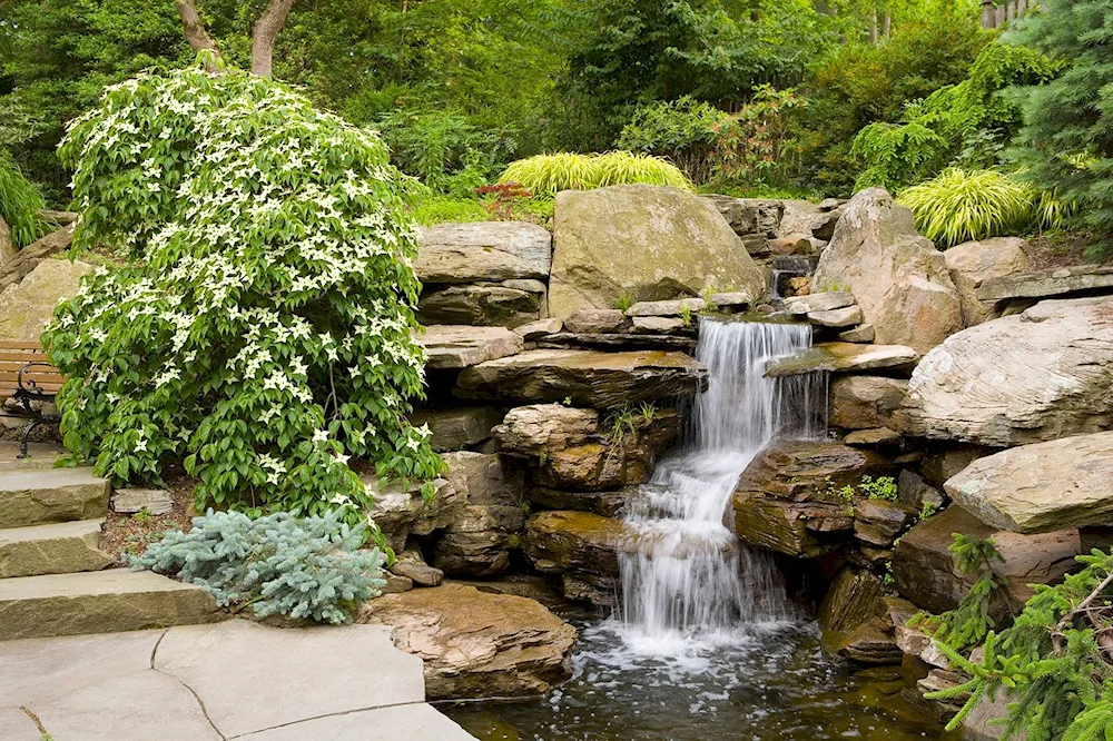 Mountain Cascade