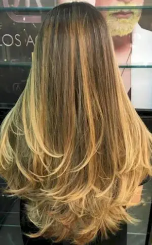 Cascade Ponytail 2022