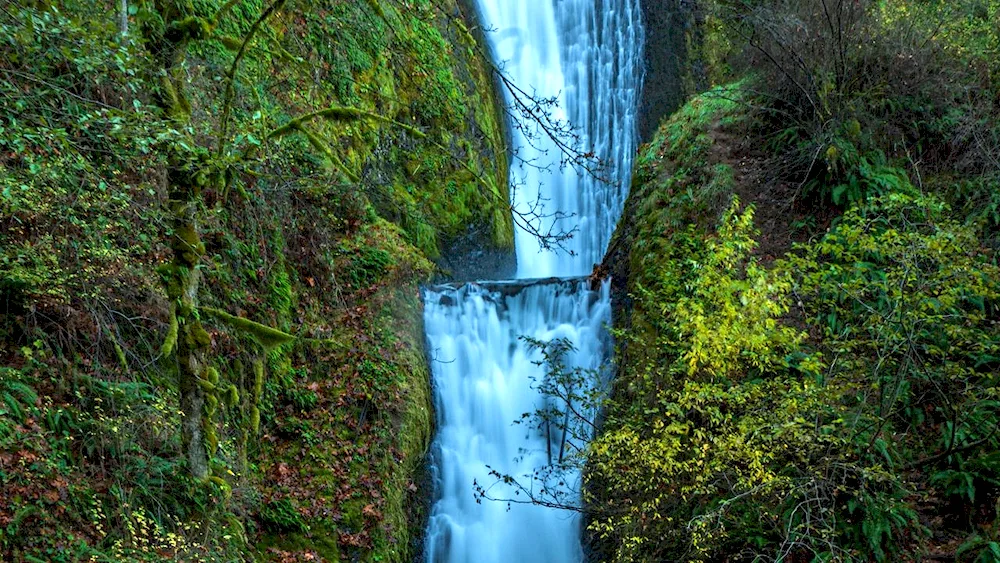 Water cascade