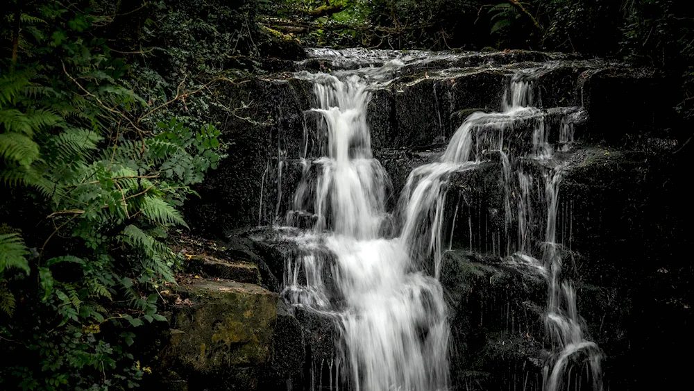 Ladder Cascade filigree