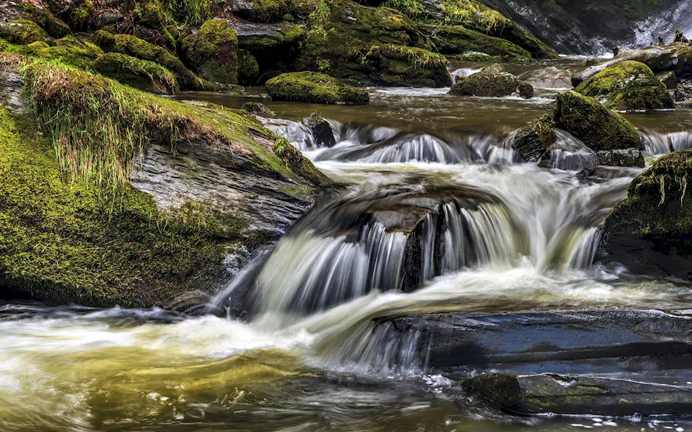 Wallpaper Cascade