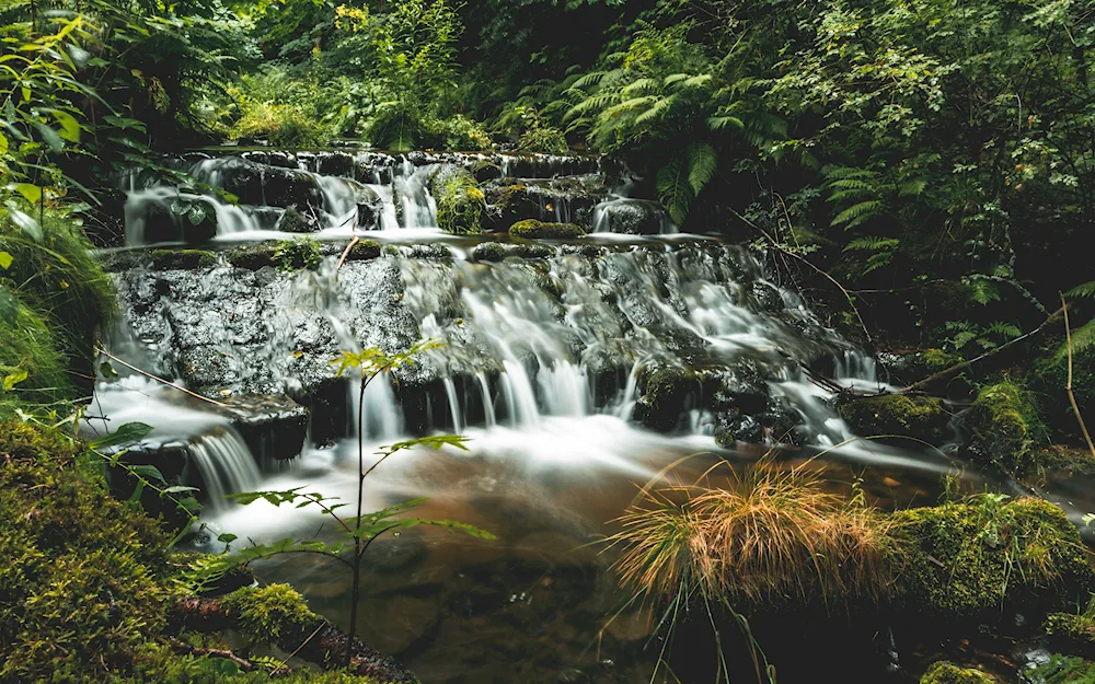 Cascade Falls