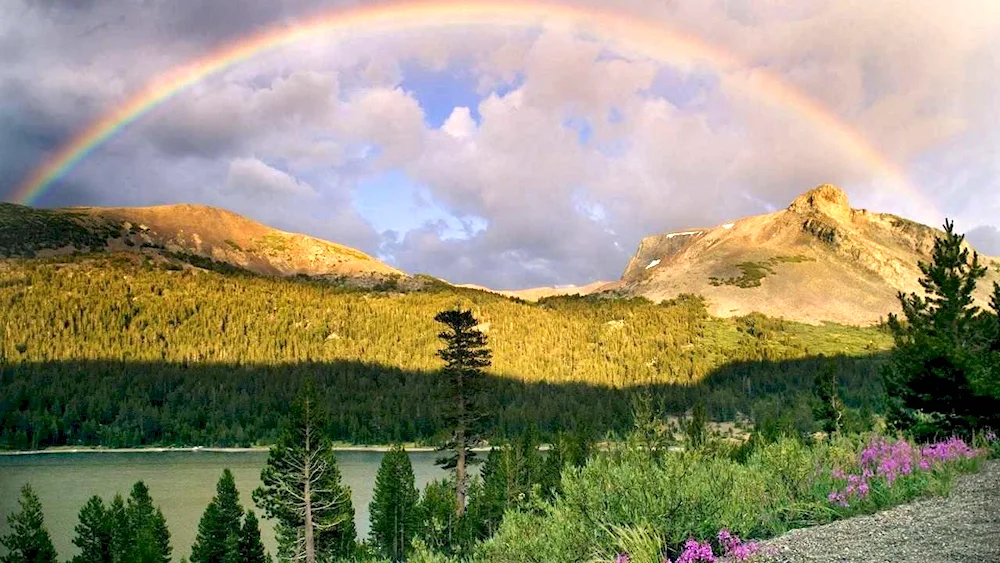 Caspar Friedrich Rainbow