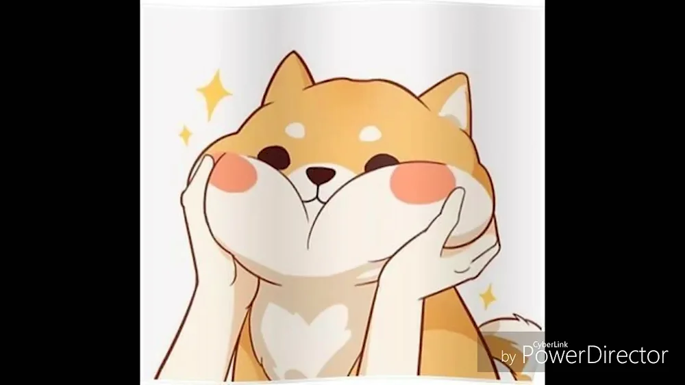 Awai Shiba Inu