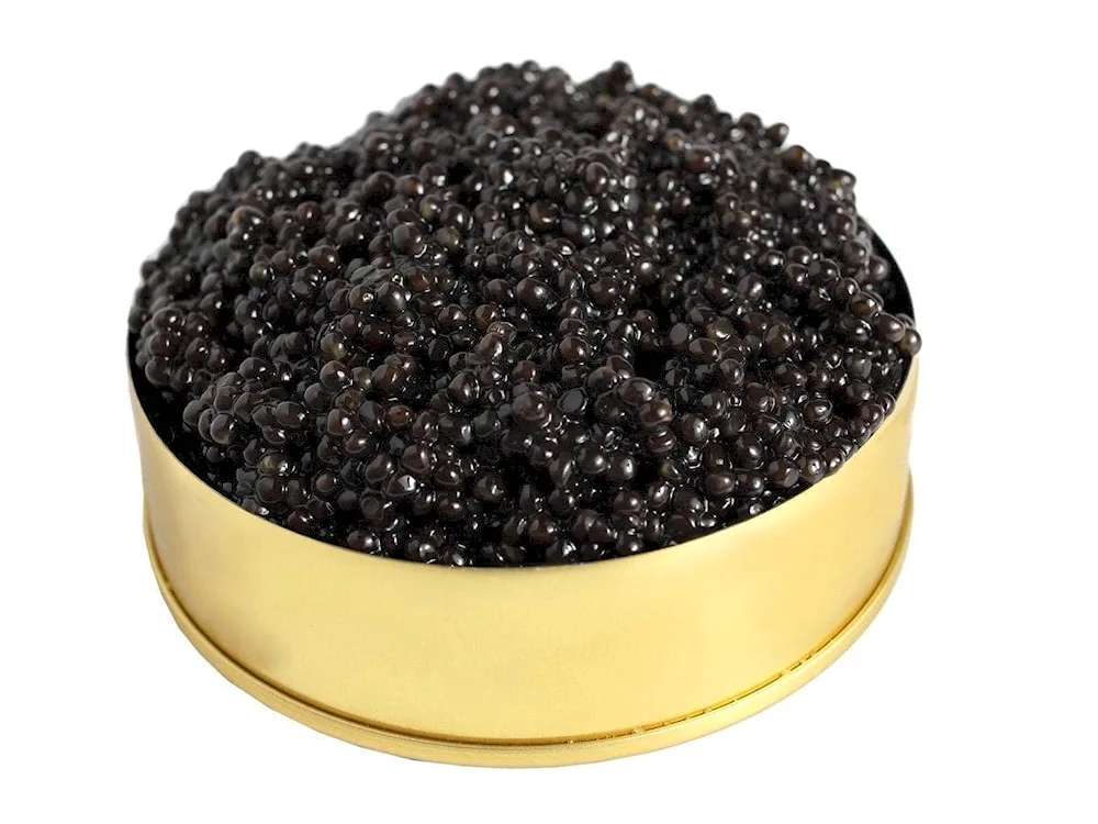 Buttershops with caviar