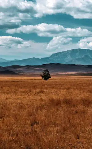 Kazakhstan Steppe Plain