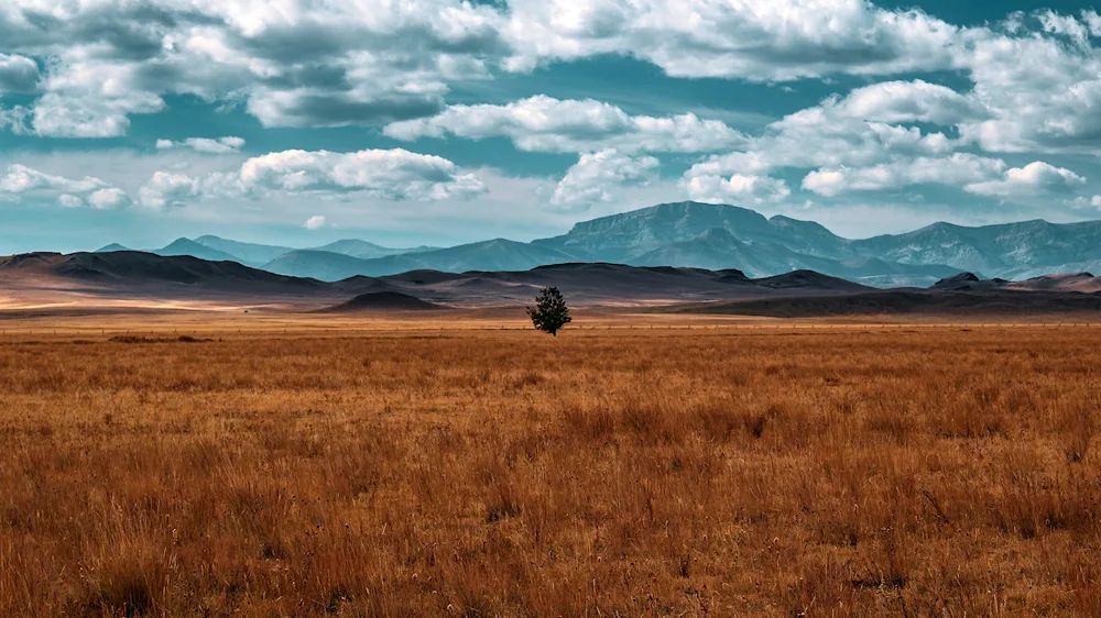 Kazakhstan Steppe Plain