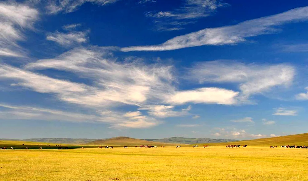 Kazakhstan Steppe Plain