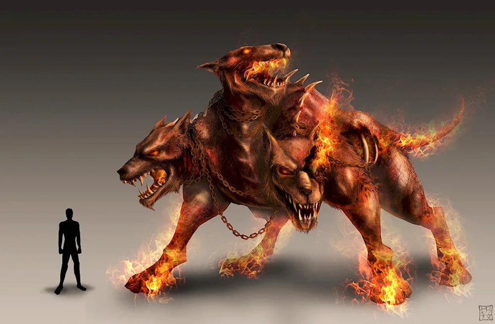 Cerberus Cerberus Cerberus Rudd