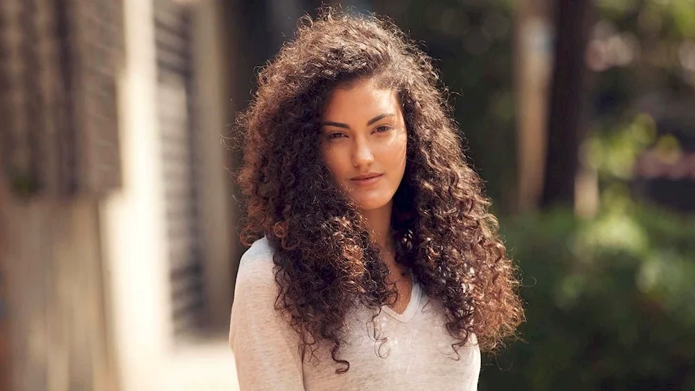 Alina Zaslavskaya model