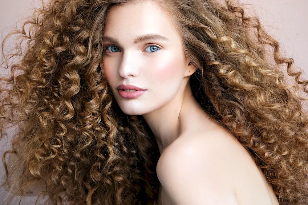 Curly Heir model