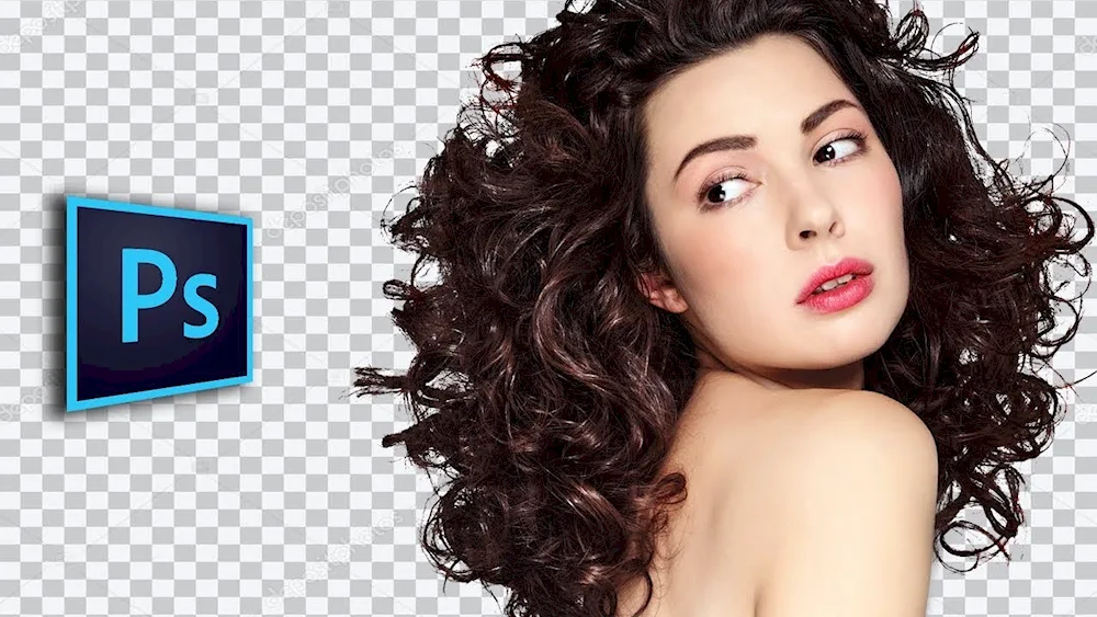 Bio curl 2022