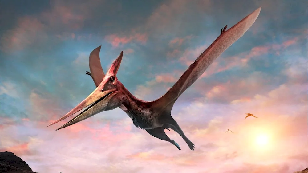 Ketzalcoatl pterodactyl