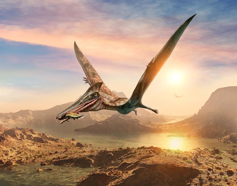 Pterosaurs of the Triassic period