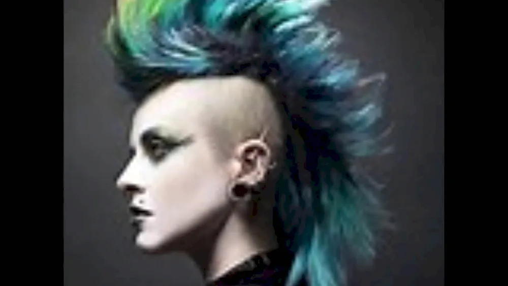 Hairstyle of Punks