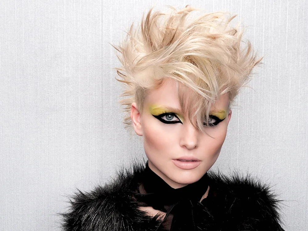 Andercat Pompadour
