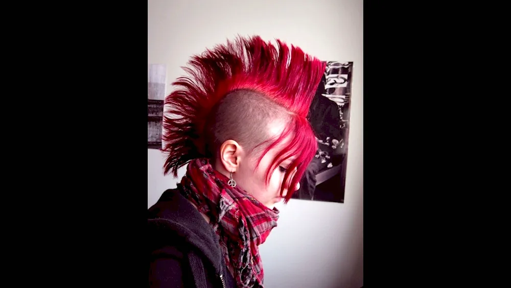 Punk hairstyle