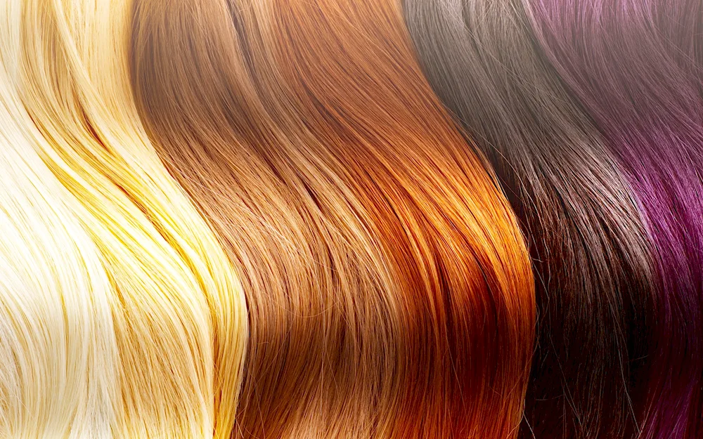 Paul Mitchell hairstyles