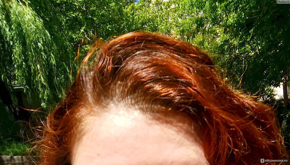 Hair after henna