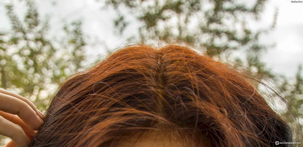 Tonic 5.35 red amber on dark hair