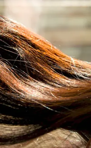 Henna and cocoa for hair