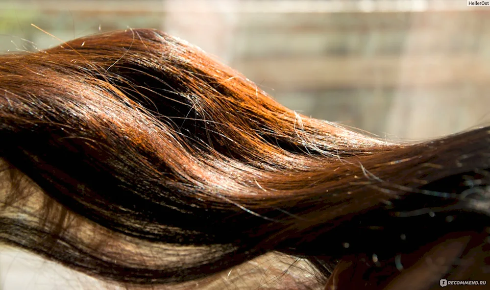 Henna and cocoa for hair
