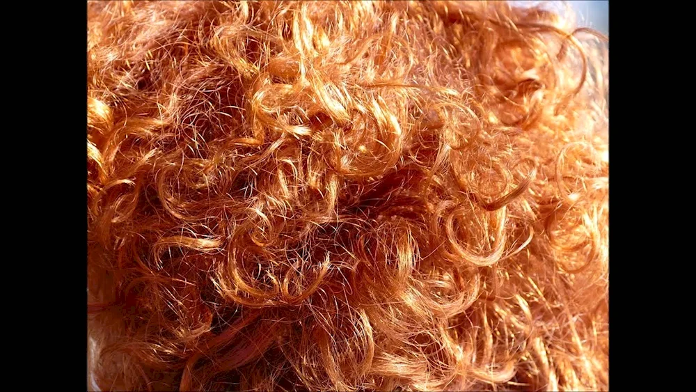 Haena hair colouring for curly hair