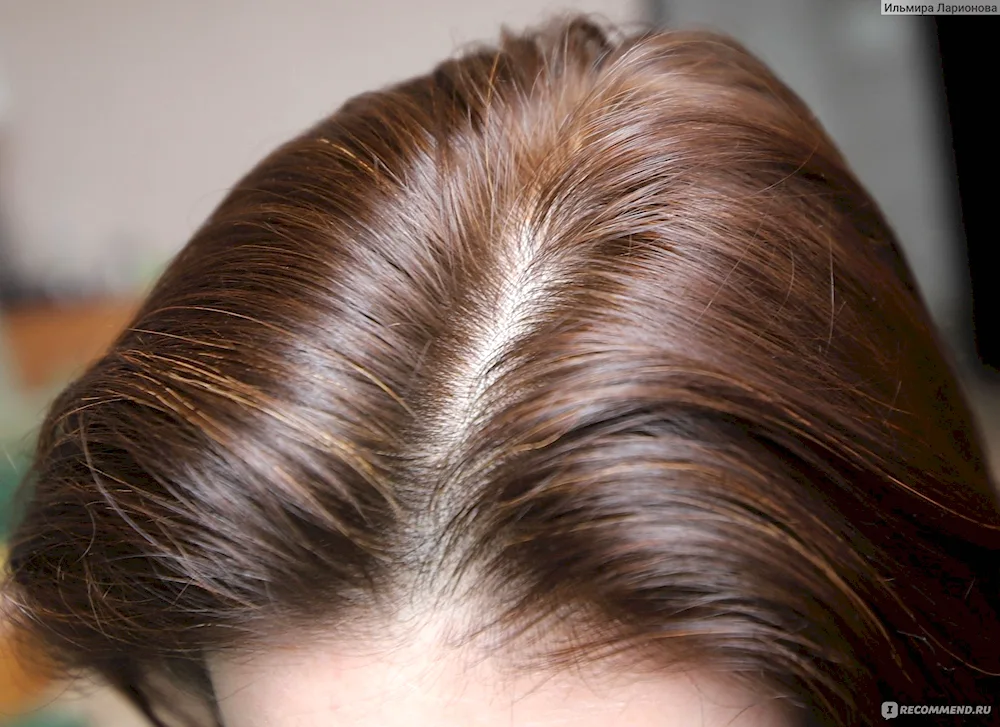Hnna dyes grey hair