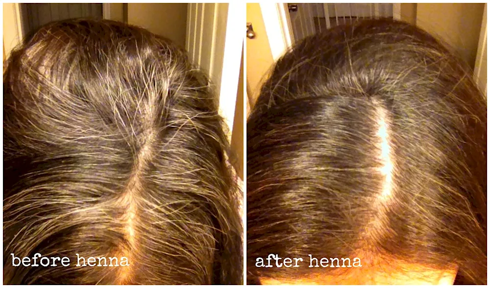 Lady Henna henna henna henna 125g henna henna dyeing grey hair. henna hair dyeing with henna and basma for grey hair