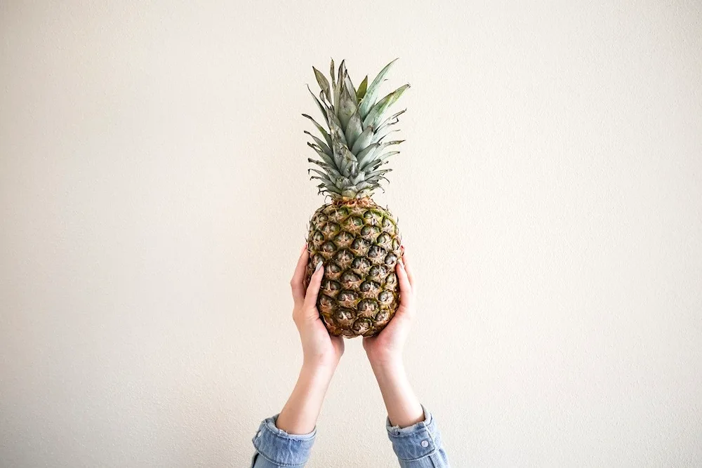 Hoya sea pineapple.