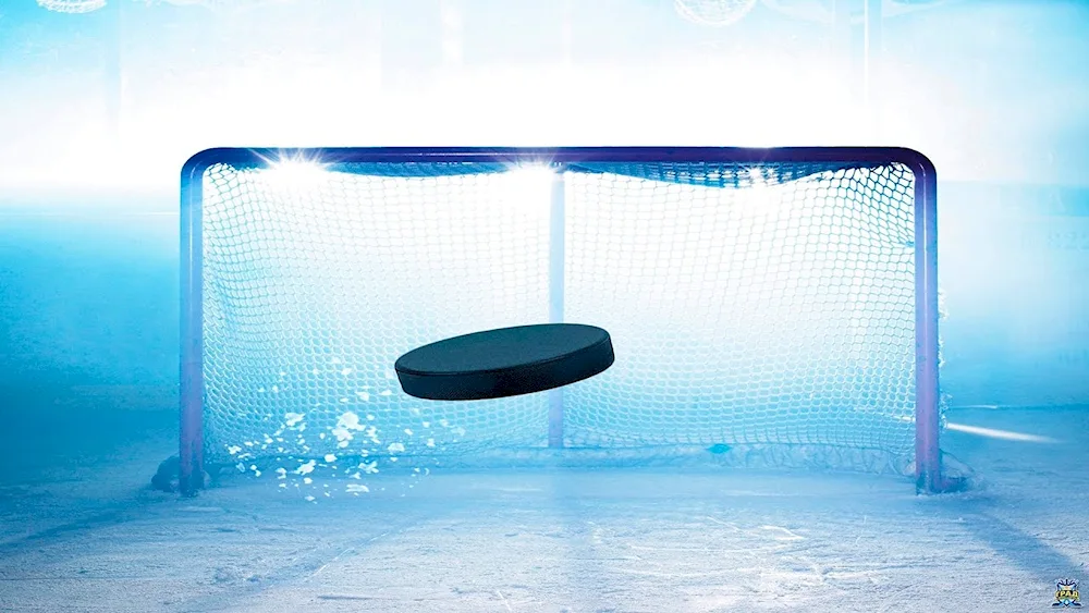 Hockey goal on the field