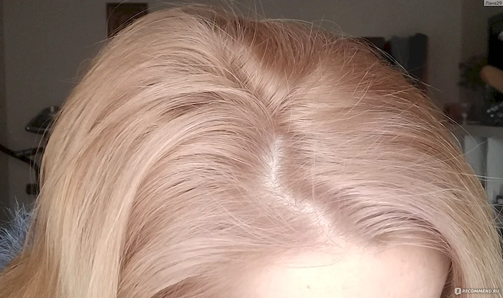 Cold Beige Blonde Estelle dye
