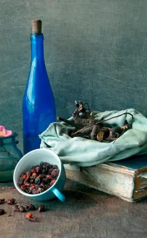 Cold still life