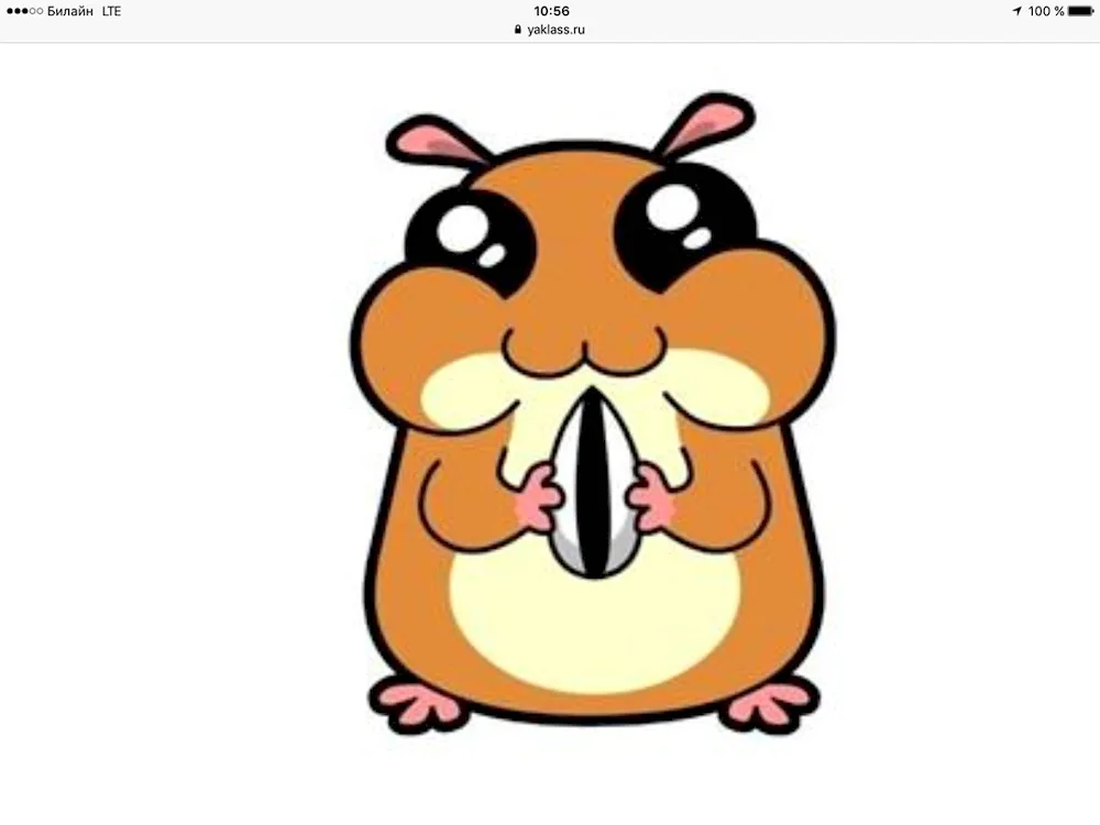 Hamster pictures for drawing