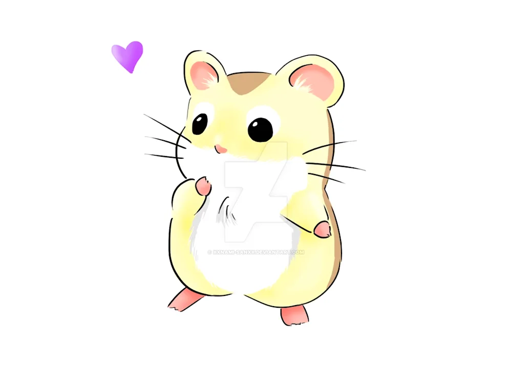 Hamster drawing