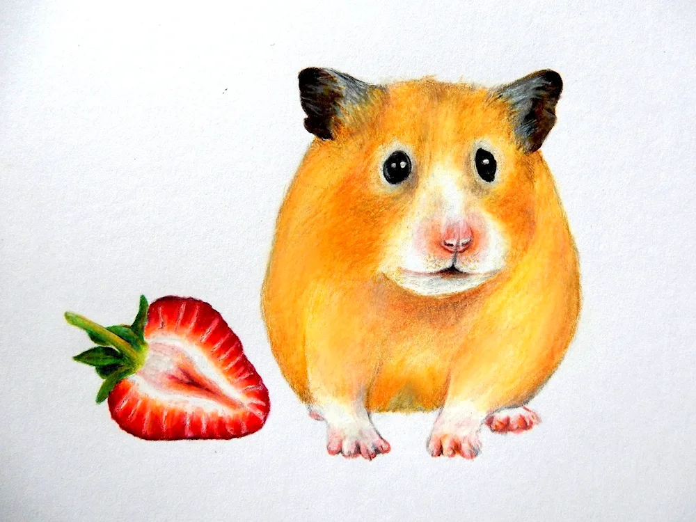 Nice drawings