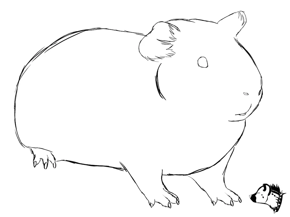 Hamster sketch
