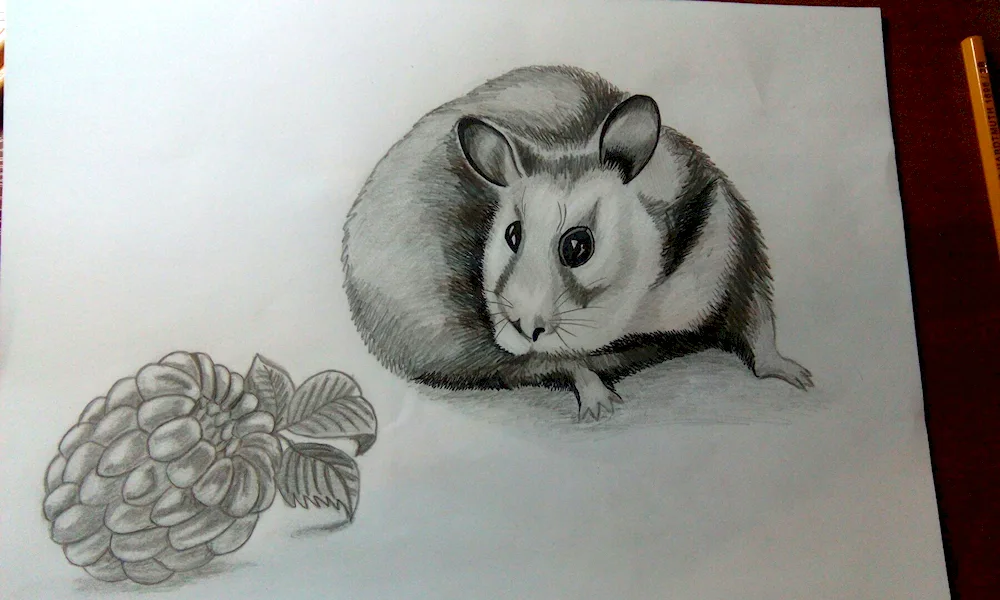 Cute hamsters