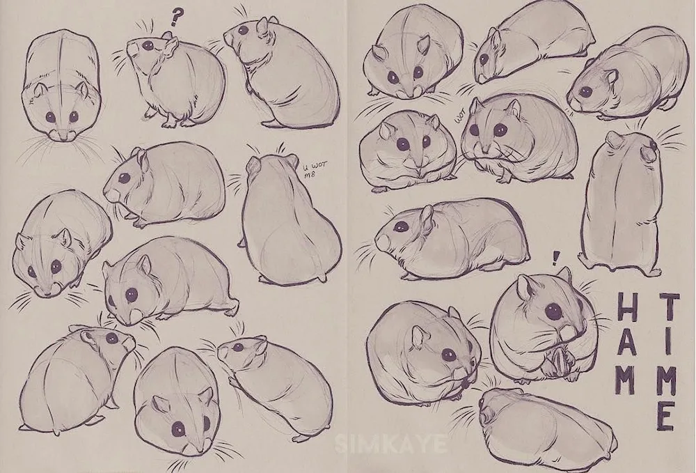 Hamster colouring