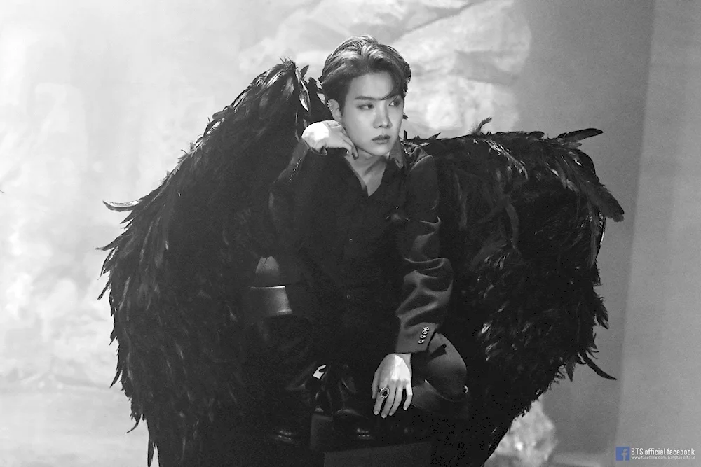Hosok Black Swan