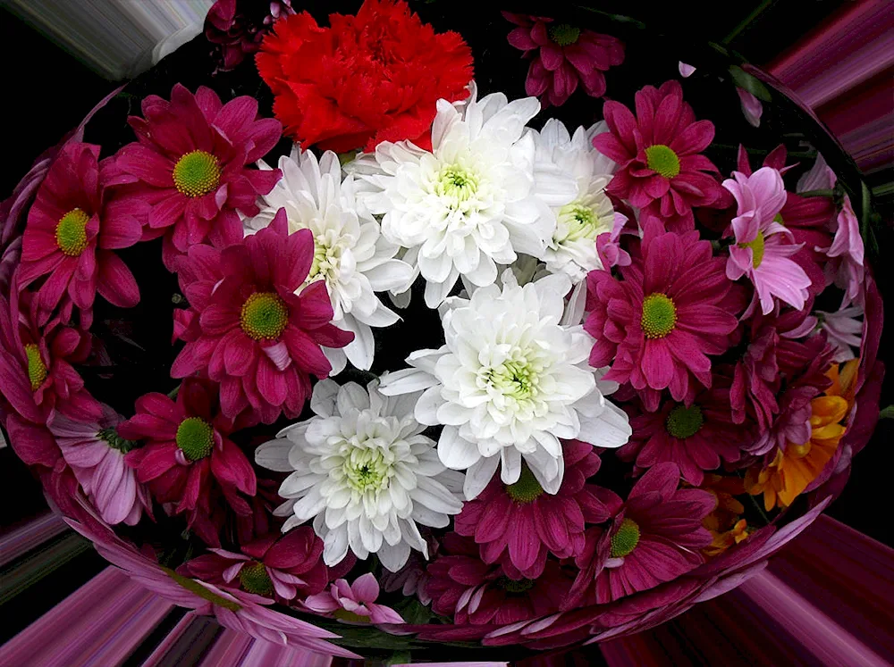 Chrysanthemum bouquets