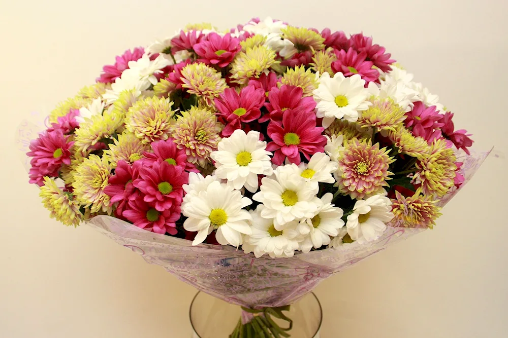 Chrysanthemum dahlias peonies
