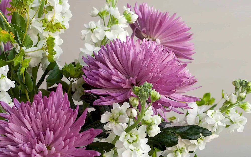 Chrysanthemum bouquet celebration