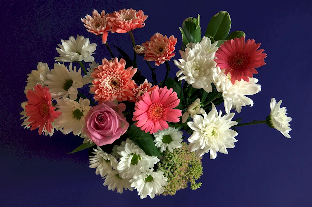 Chrysanthemum bouquet