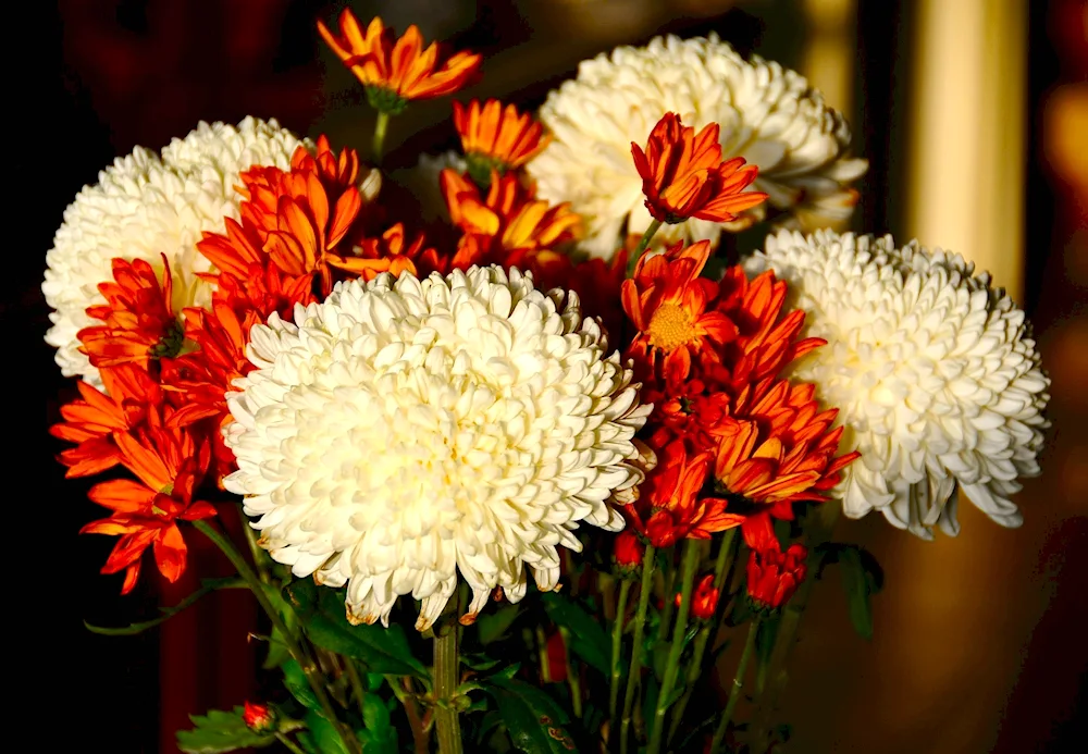 Chrysanthemum bouquet celebration