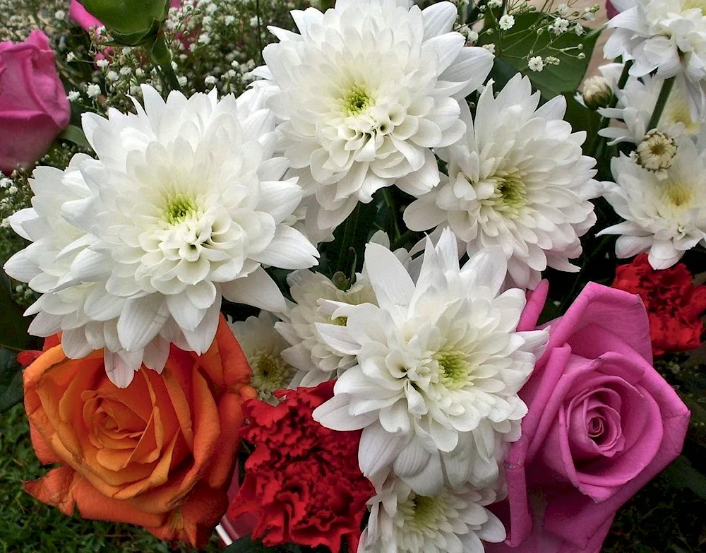 Chrysanthemum bouquet