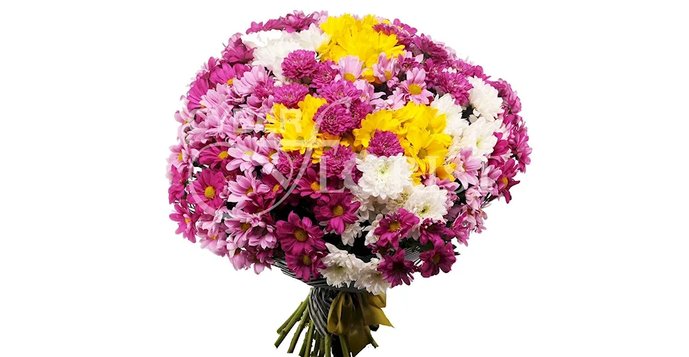 Roses chrysanthemums lilies asters