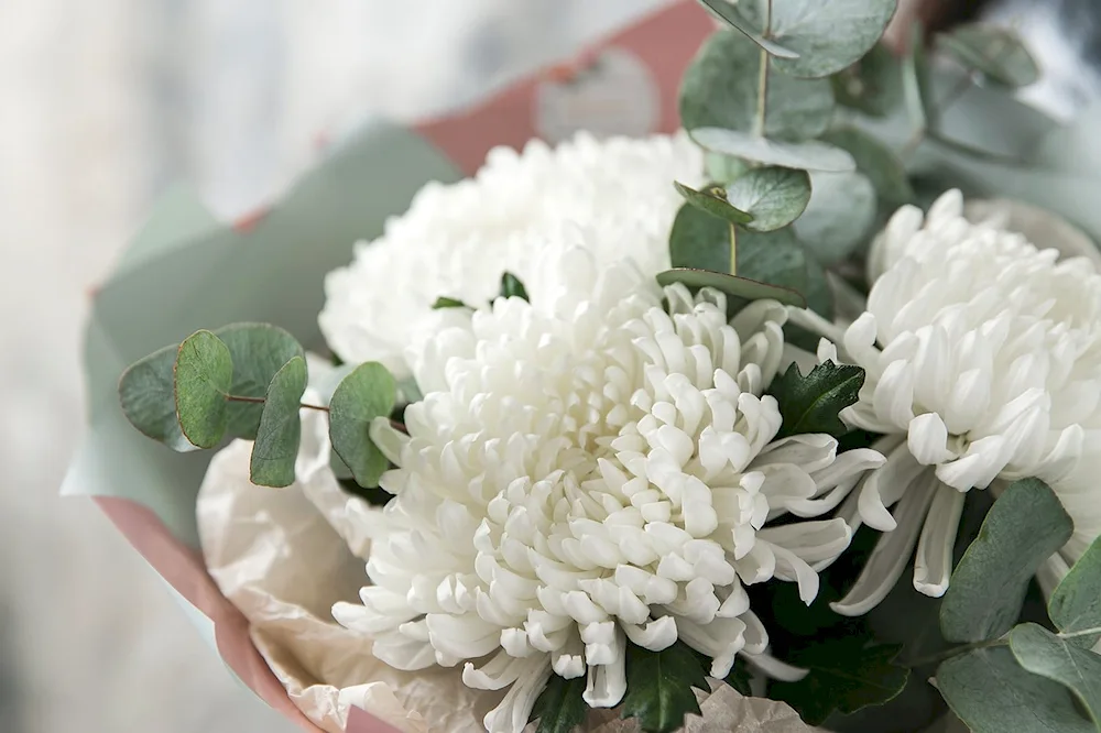 Bouquet chrysanthemums