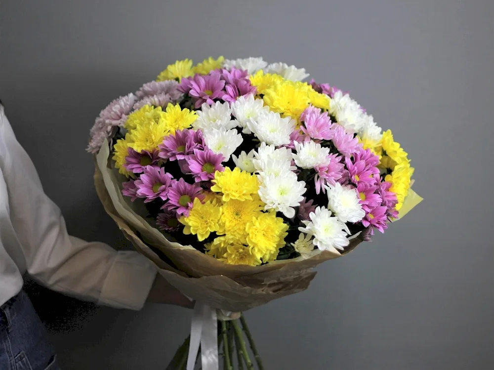 Blue single-headed chrysanthemum