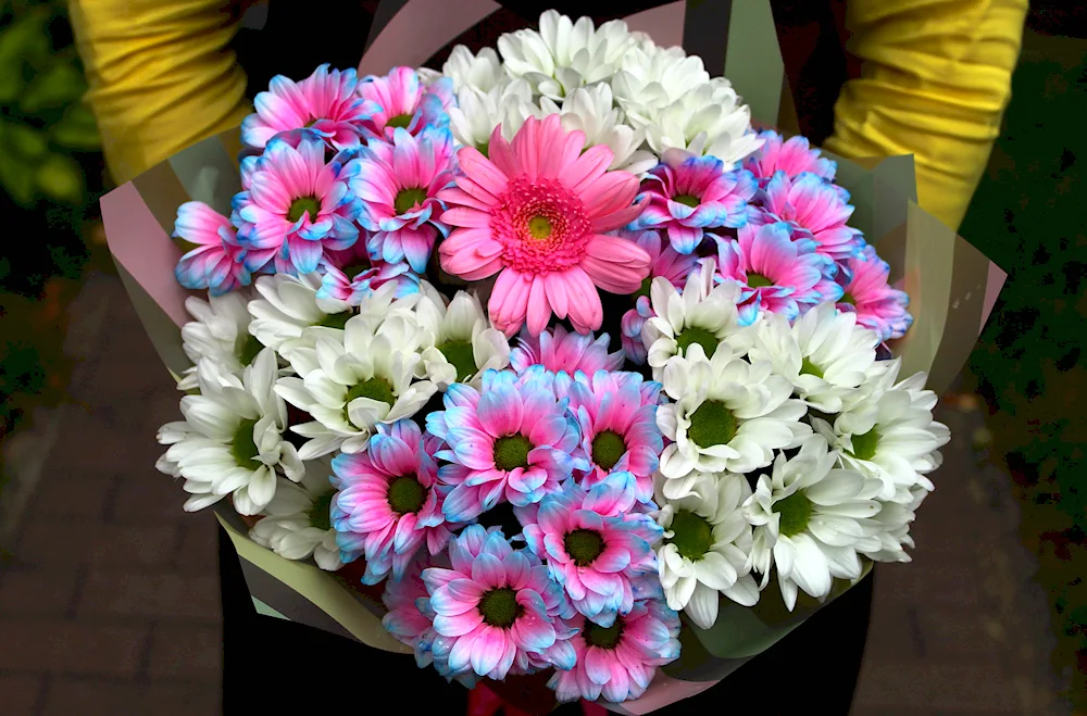 Flowers chrysanthemum bouquets